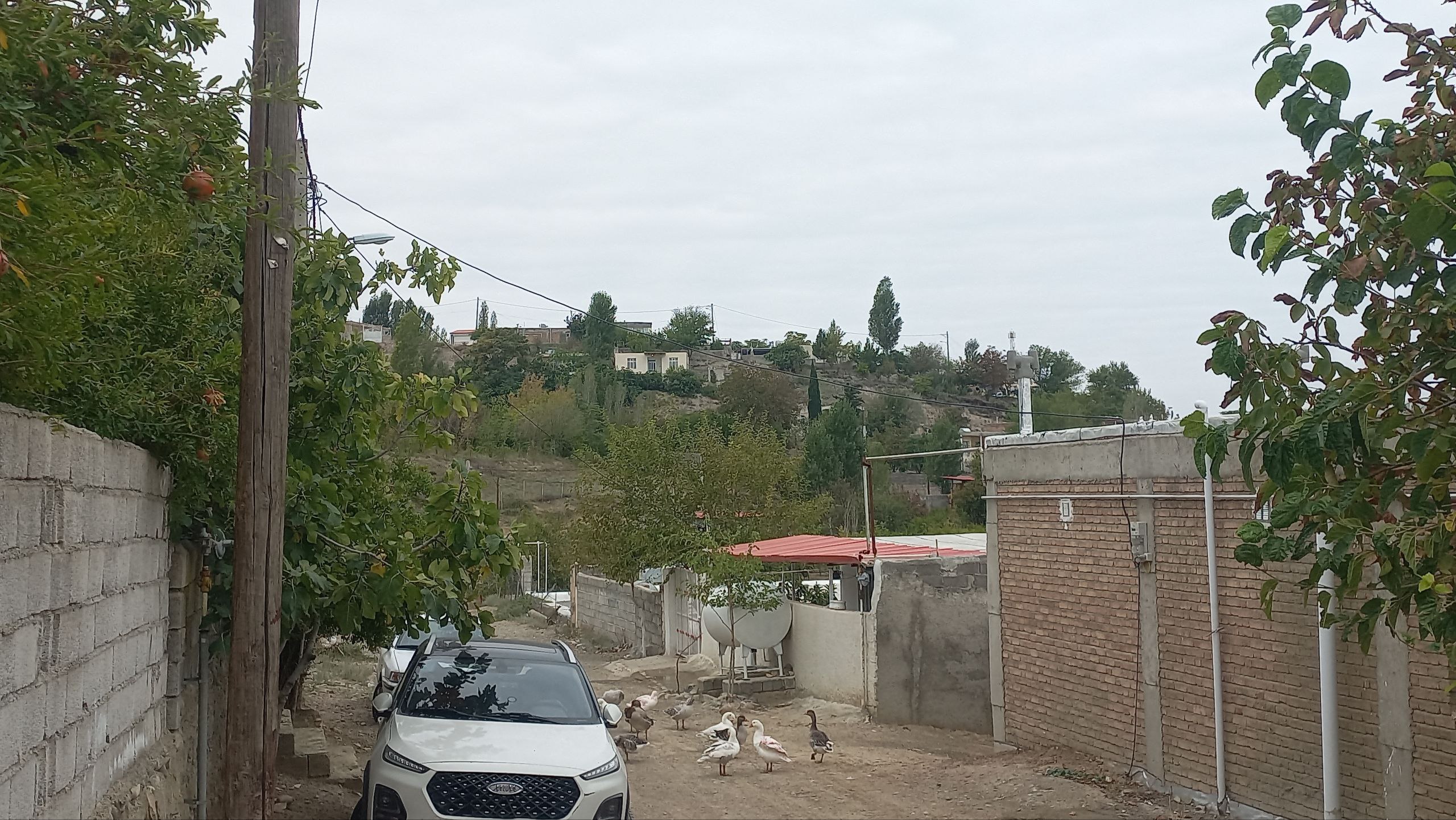 اقامتگاه آراز